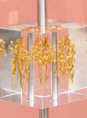 实心亚克力标本墙开孔透明树脂科普墙售楼部互动壁饰高档艺术装置