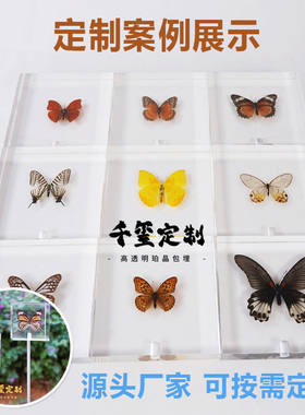 蝴蝶摆件创意饰品客厅个性工艺品