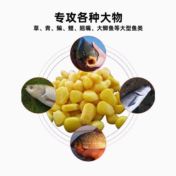 西部风玉米粒麦粒饵料窝料钓鱼打窝鲤鱼草鱼鳊鱼野钓水库钓饵1,淘宝优惠券,粉丝福利购,淘宝优惠卷