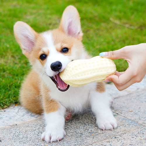 Универсальная реалистичная игрушка, кошки и собаки, избавление от скуки, издает звуки