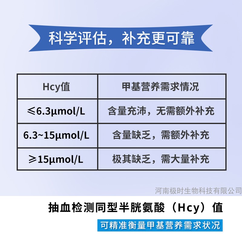 三高同型半胱氨酸hcy极时维生素b6b12叶酸胆碱片成人补叶酸