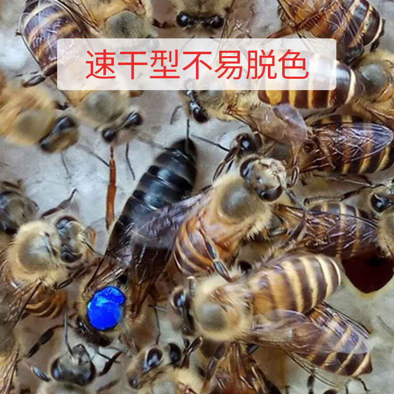 蜜蜂蜂王标记笔记号笔出口型防水速干涂色笔不掉色养蜂育蜂王工具 - 图2