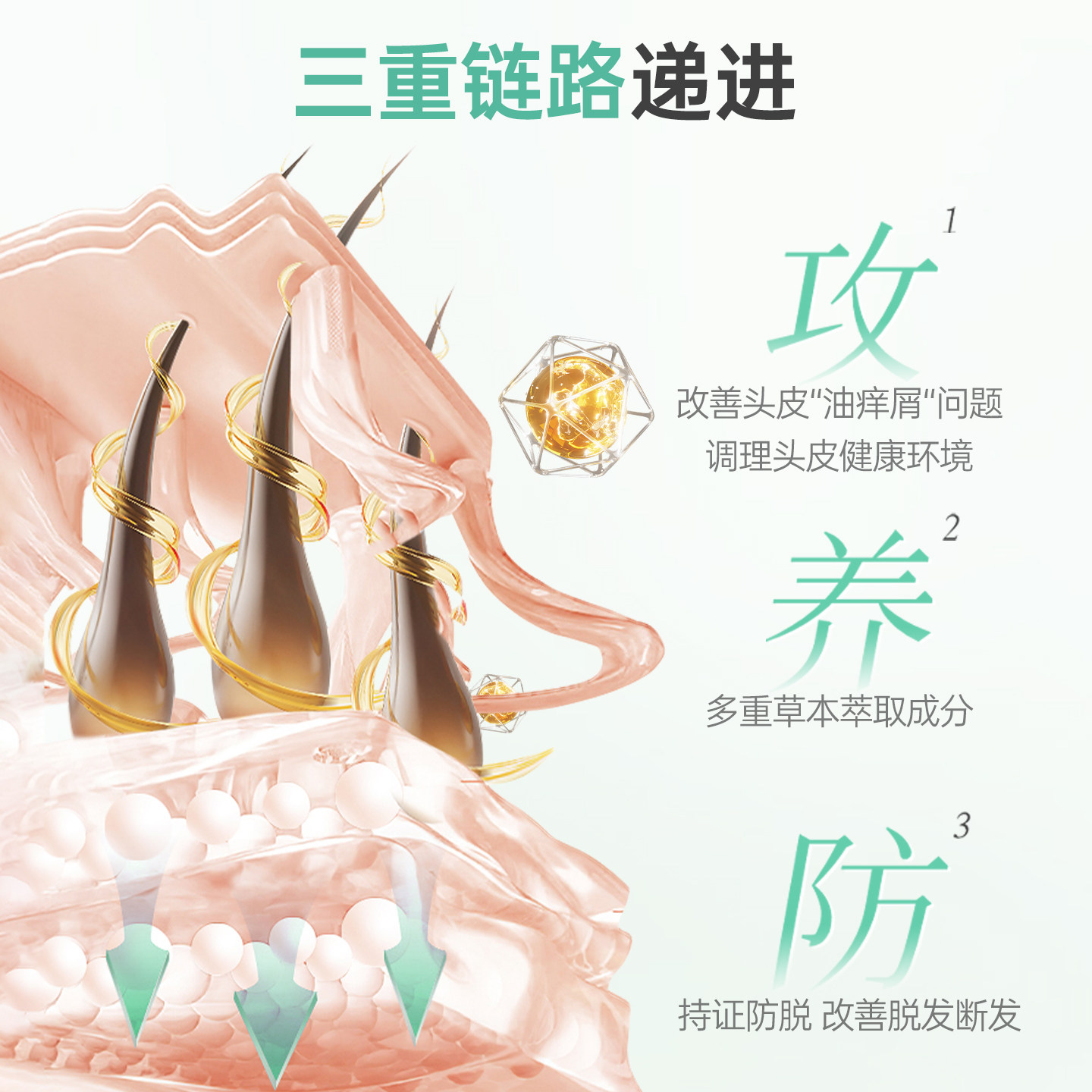 图 3