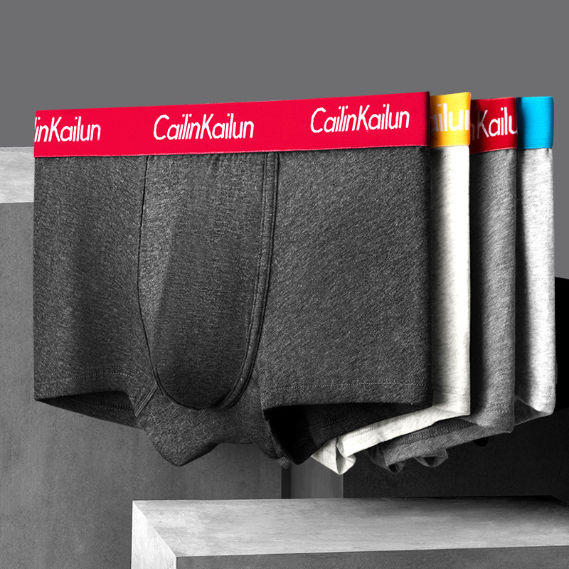 4条男士平角裤抗菌青年潮流头短裤 彩仑凯乐内裤