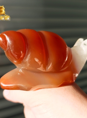 灵蟾晶舍｜红红火火｜天然玛瑙蜗牛摆件招财聚财赚钱暴富装饰150