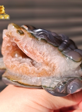 灵蟾晶舍｜善财童子｜收藏级天然玛瑙粉牙软金蟾摆件招财聚财168