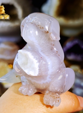 灵蟾晶舍｜小狗抱财｜天然玛瑙软糖水晶生肖狗摆件招财聚财发财