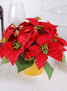 Red Christmas Flower Pots Tabletop Arrangement New Flowers R