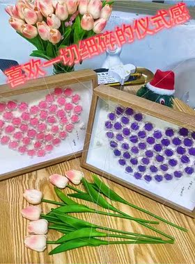 handmade DIY velvet rose flower photo frame night light Tana