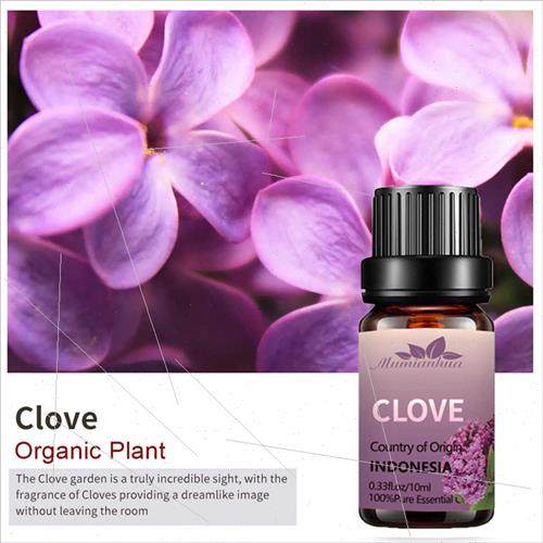 Clove Clove Flower Essential Oil Plant ngle Essential Oil En - 图0