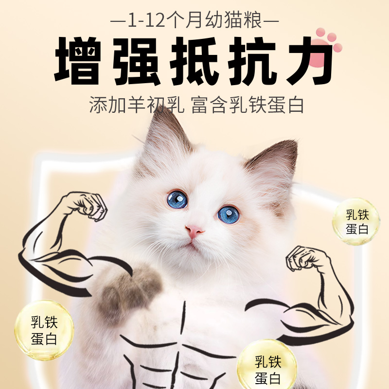 猫粮幼猫专用1到3月4到12月全价小猫蓝猫增强抵抗增肥发腮营养5斤 - 图2