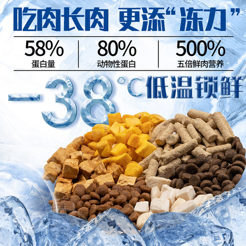 冻干猫粮10斤装成猫专用5kg幼猫生骨肉全价20斤营养增肥发腮蓝猫 - 图0