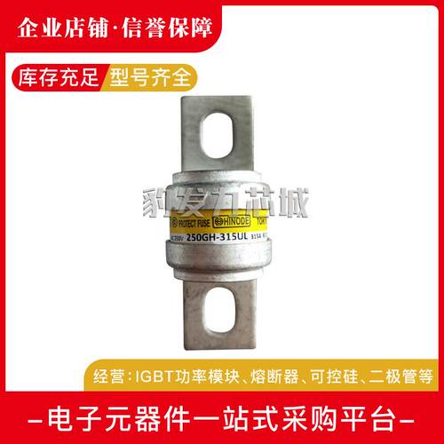 250GH-200UL 250GH-250UL 250GH-315UL快速熔断器 保险丝现货 - 图1