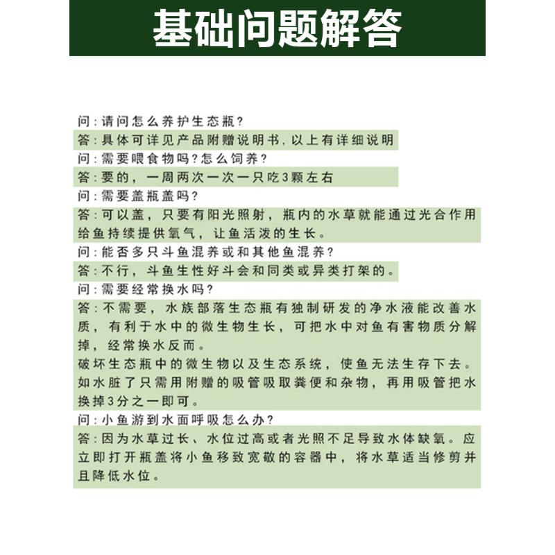 手提生态瓶DIY材料塑料免打理自循环微景观桌面瓶免换水小鱼缸办 - 图2