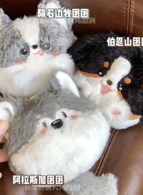 小狗团子咚咚研究所团团
