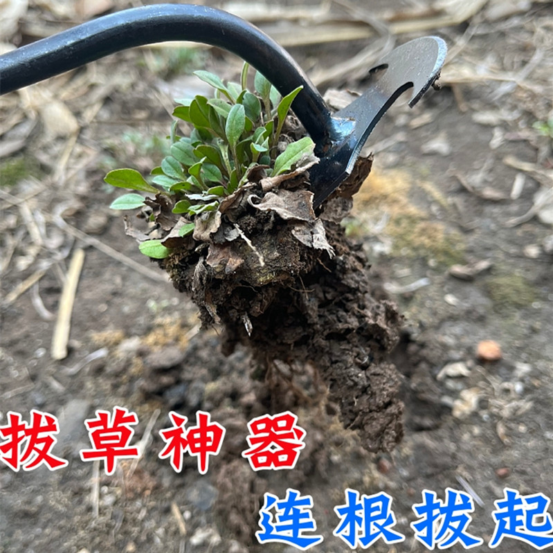 拔草器除草神器锄草专用工具不锈钢挖野菜连根多功能铲拔草除草钩 - 图2