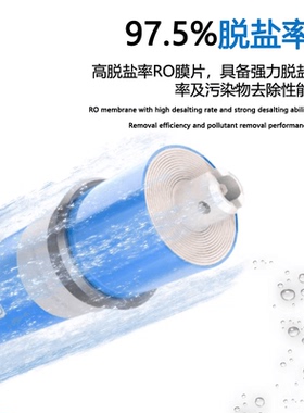 澳维RO反渗透膜滤芯净水器家用