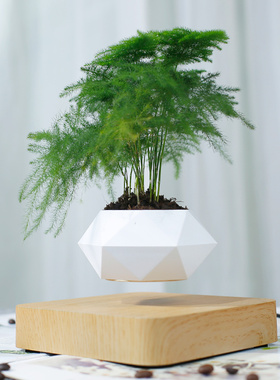 速发盆浮摆件 创意 磁悬盆浮栽空中绿植花悬植物办公室装饰品乔迁