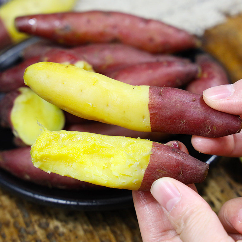 新鲜现挖临安天目山小香薯薯小红薯 果仁伊番薯