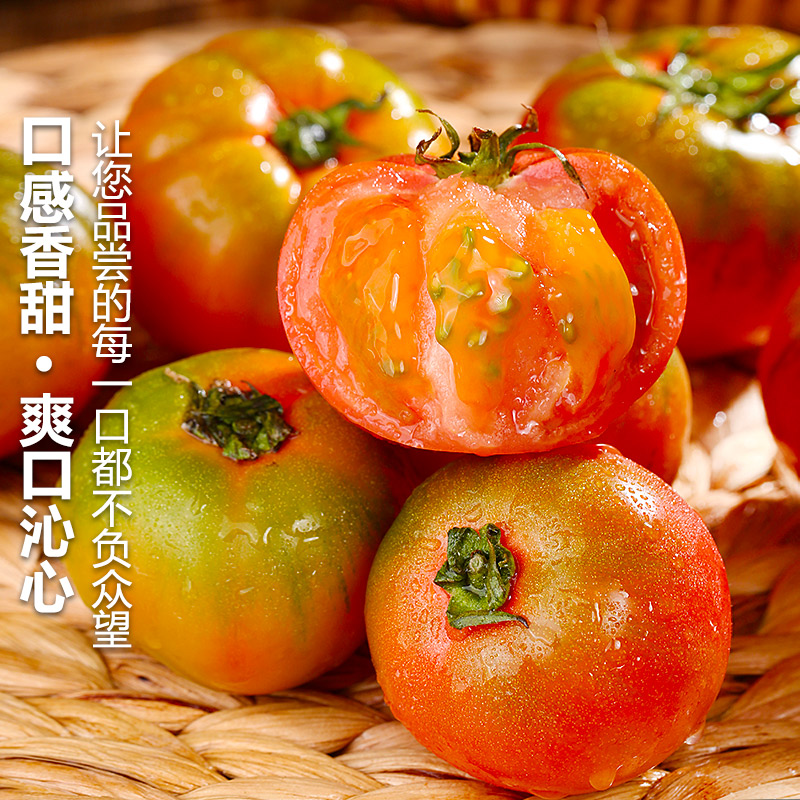 正宗铁皮草莓柿子1/2/3/5斤现摘碱地新鲜自然熟绿腚番茄西红柿
