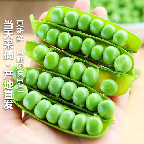 现摘新鲜豌豆云南带壳青豆角粒云南应当季农家蔬菜甜豆荚整箱包邮 - 图3