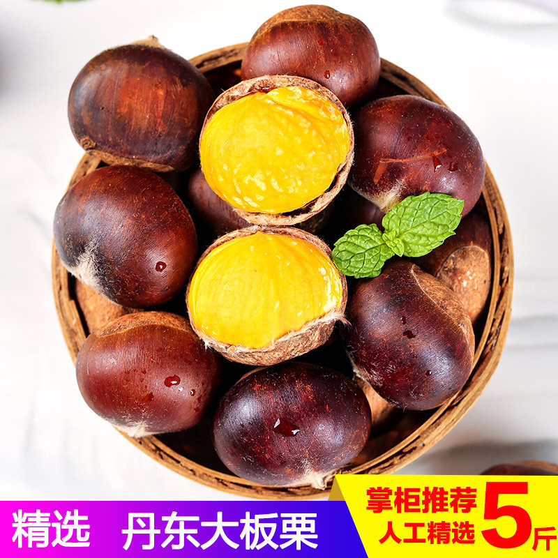 新鲜生板栗2023大板栗现摘生栗丹东东北甜板栗5斤大果栗子非锥栗_虎窝淘