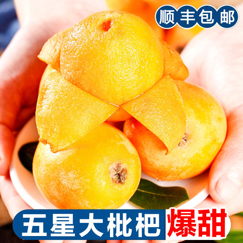 顺丰攀枝花米易枇杷新鲜四川5斤水果当季整箱琵琶果大五星批把果