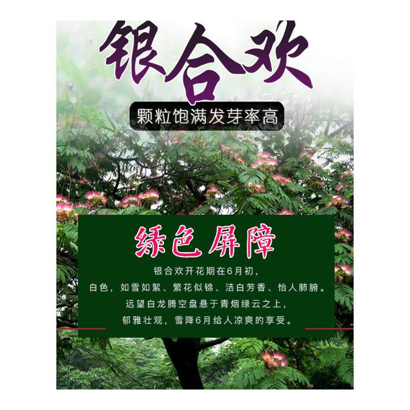 花木兰 紫穗槐种子护坡灌木籽边坡固土绿化盐肤木多花木兰刺槐胡枝子木豆 图片价格品牌报价 原仓数据