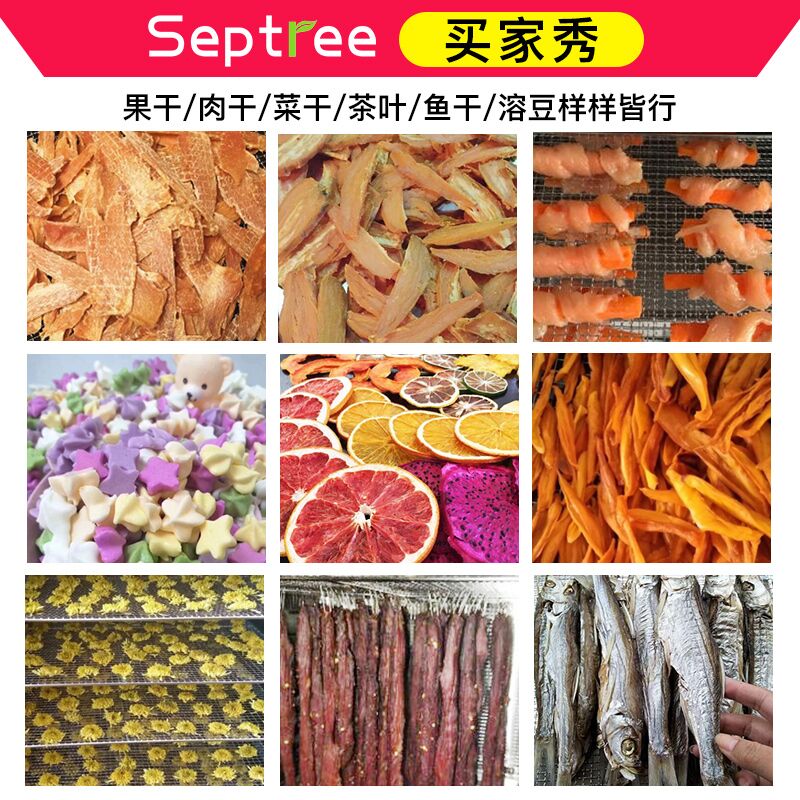 Septree水果烘干机食品家用宠物零食食物肉干竹笋脱水风干机商用-图1