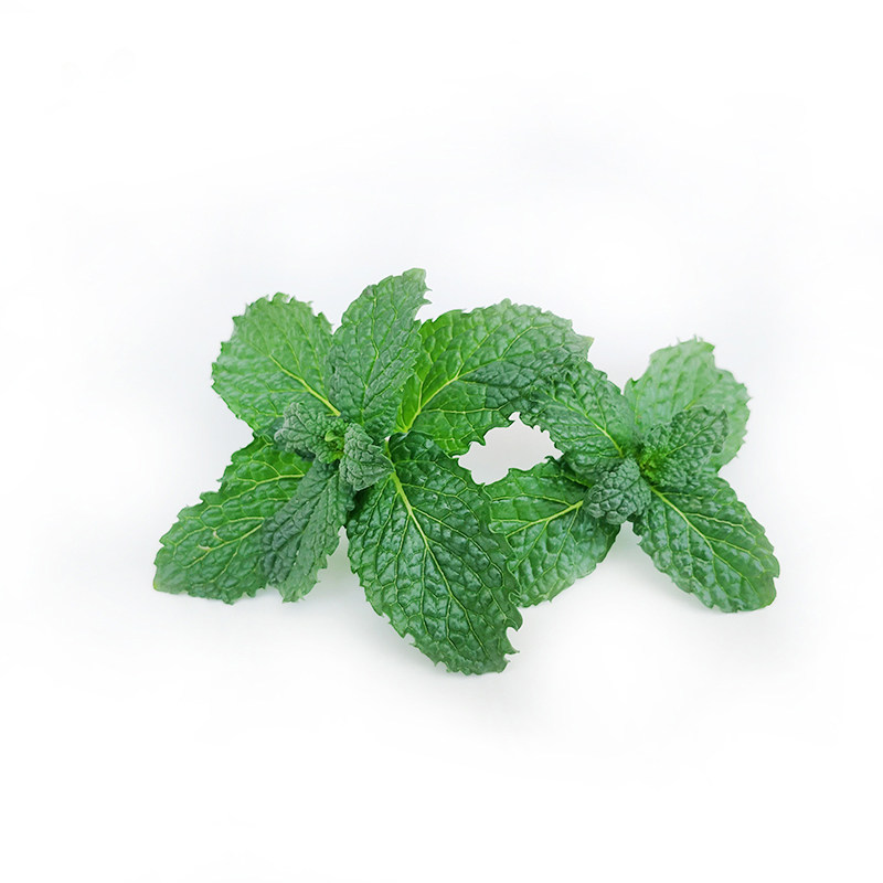 新鲜薄荷叶约40朵可食用薄荷头薄荷芽酒店西餐调酒蛋糕装饰点缀,淘宝优惠券,粉丝福利购,淘宝优惠卷