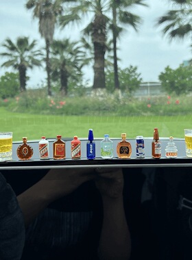 治愈系小酒瓶汽车摆件车载中控台大屏后视镜电动车内桌面装饰用品