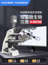 Osmicro Research Professional Level Biolab Microscopy 4K Ultra High Qing 10000 High-times Science Special School Scientific Research can look at E. coli cell bacterial fungal microbial thallus