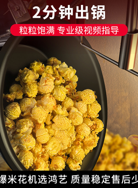 鸿艺爆米花机商用全自动电热摆摊