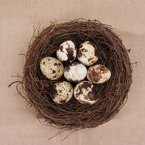 100枚农家生鹌鹑蛋新鲜杂粮生态正宗孕妇宝宝土特产 - 图1
