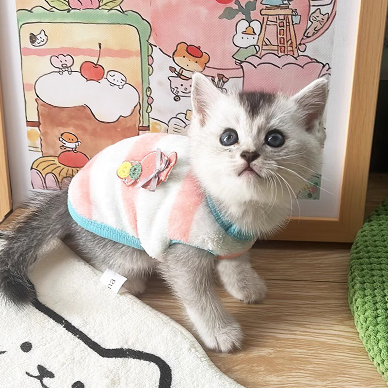 小奶猫衣服超小一斤内XXS茶杯犬秋冬款幼犬奶狗幼猫小猫冬季绒衣-图1