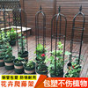 Flower stand climbing rose clematis support art