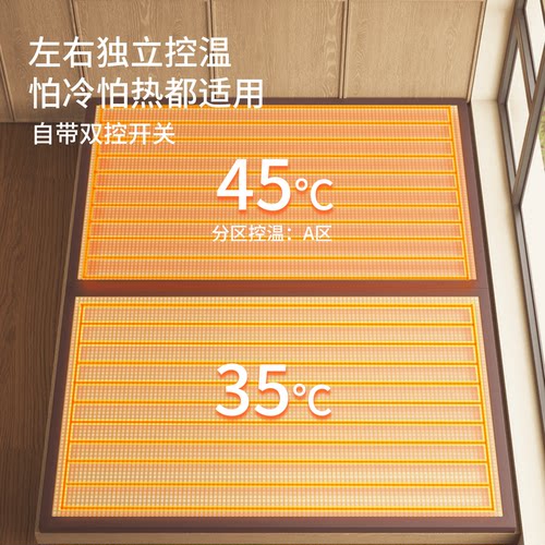 他米乐榻榻米日式炕垫电加热床垫炕上专用垫地台硬垫定制尺寸椰棕 - 图0