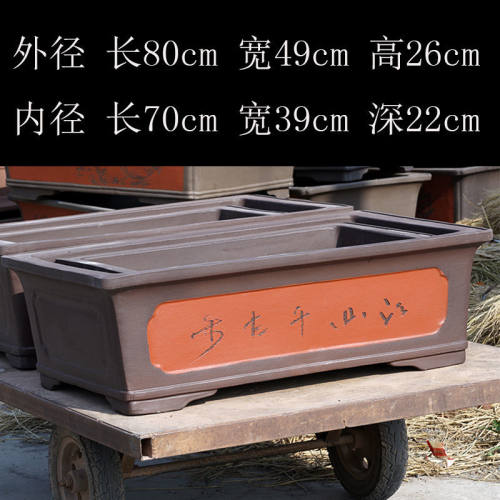 紫砂花盆大号1米长方形马槽盆景盆树桩庭院种菜盆花卉绿植地面 - 图2