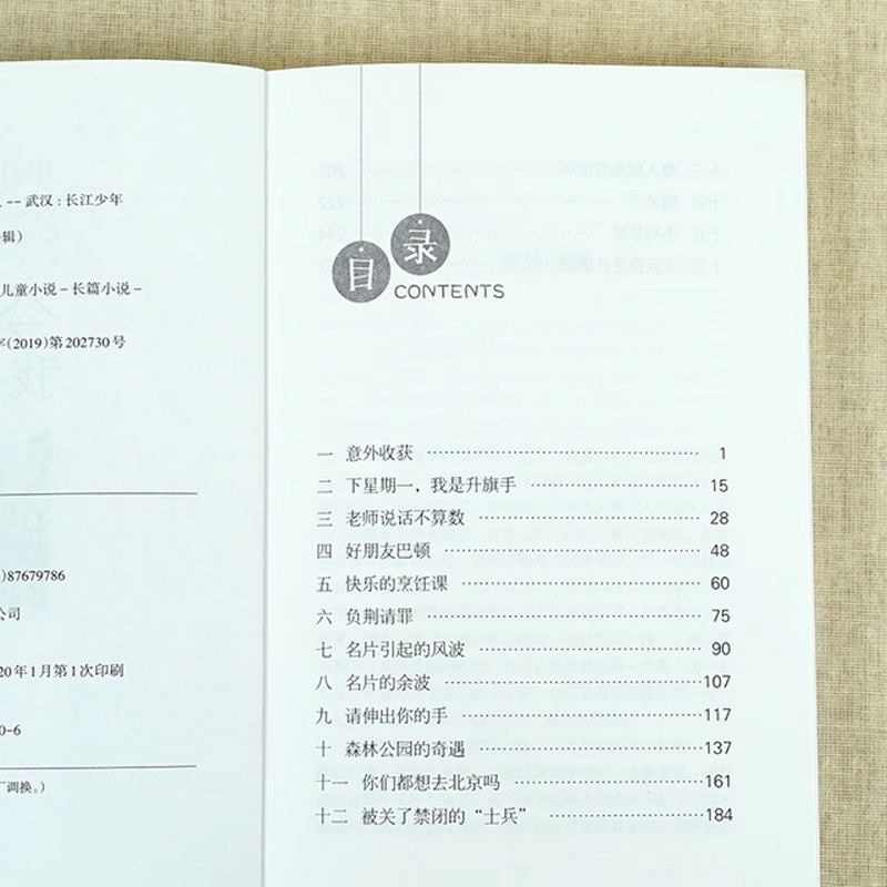 黄蓓佳儿童文学系列今天我是升旗手 亲亲我的妈妈 艾晚的水仙球 梦中的芦苇 正版书倾情小说系列三年级四年级五年级六年级课外书