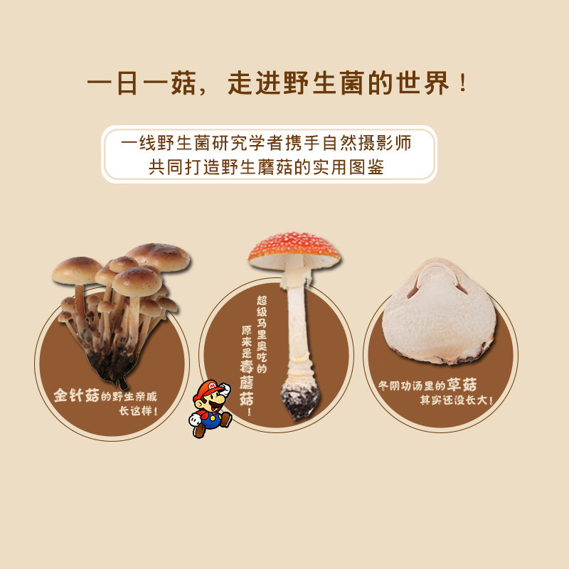 实用野生蘑菇鉴别宝典 大作晃一吹春俊光野生蘑菇使用图鉴书籍食用蘑菇菌菇松茸菌类野生菌野生毒蘑菇识别方法采书蘑菇百科大全书