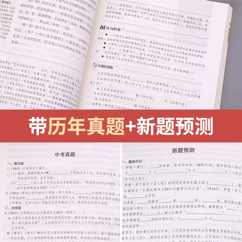 名人传正版原著罗曼罗兰书籍初中生八年级课外书必读下册语文课程化阅读名著世界名人传希腊罗马诺贝尔文学奖 - 图3