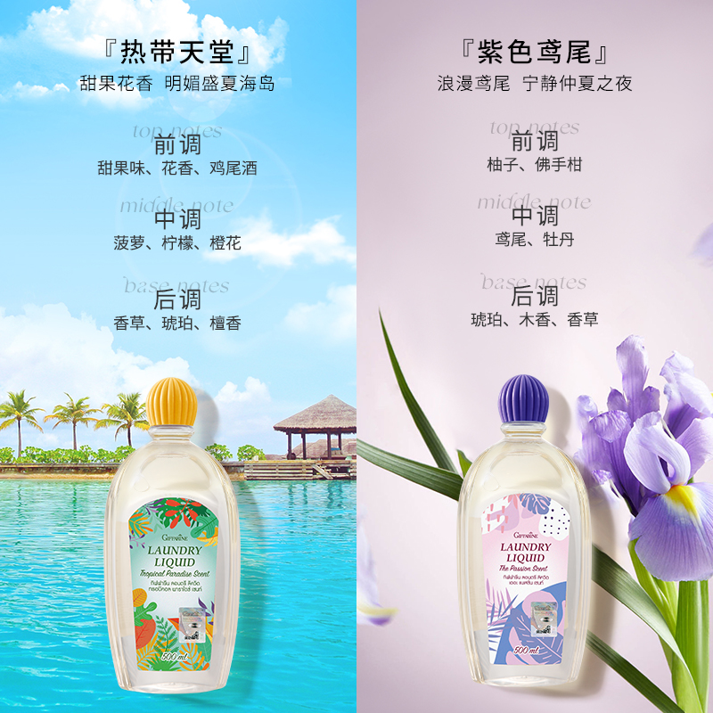 芝芙莲内衣洗衣液抑菌持久留香去血渍内裤清洗剂500ml*3