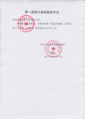 一次性医用冰袋冷敷医疗家用发热后局部降温冰敷物理降温冰包 - 图2