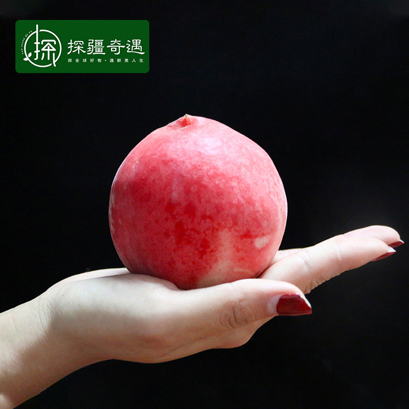  探疆奇遇桃