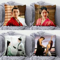 Star-Han Splendid Holding Pillow Wu Lei Zhao Ruths Tongyue Living Vicisines Around the Two-Face Custom Cushions Birthday Gifts