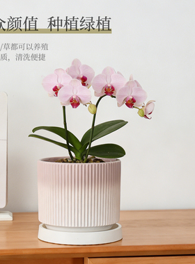 陶瓷花盆北欧简约创意家用多肉绿萝大号透气阳台桌面绿植盆特价