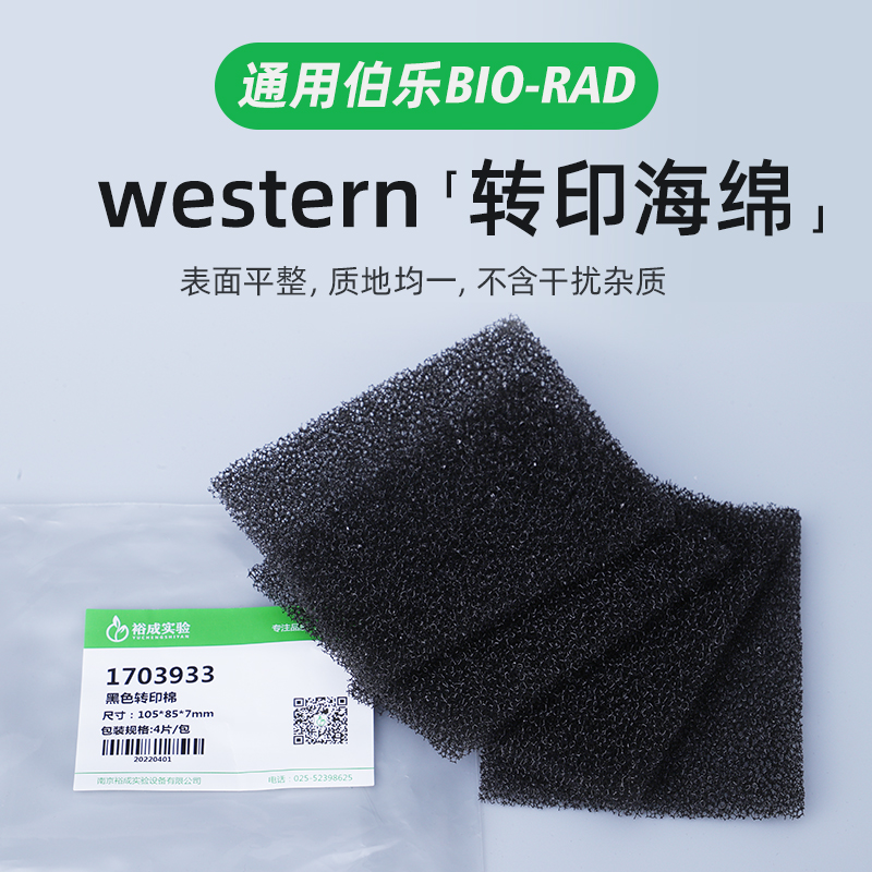 Western blot湿转转印海绵垫转印棉转膜槽海绵衬垫 Foam Pad多孔垫适用伯乐天能105*85mm 1703933-图1