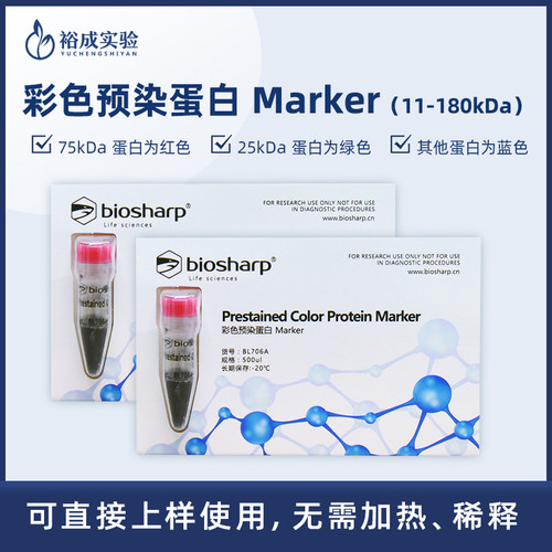 biosharp白鲨 BL706A western blot预染marker 彩色预染蛋白质分子量标准品(10-180kD) - 图0