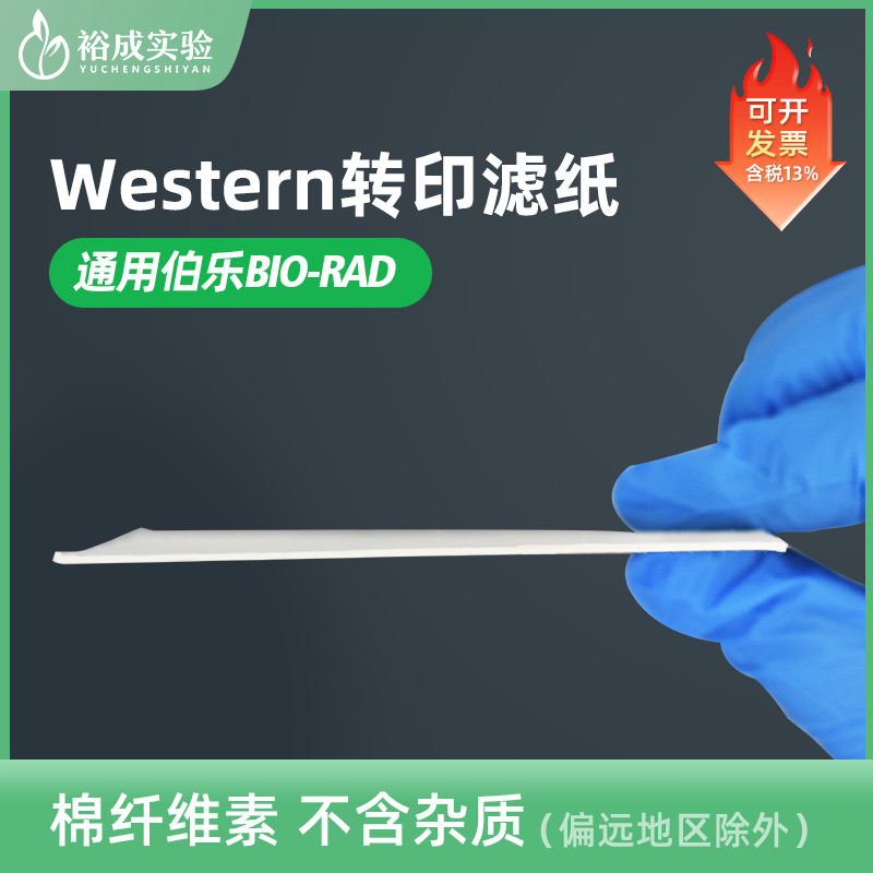 Western blot湿转转印滤纸转膜滤纸1mm厚度Northern Southern EMSA蛋白转印滤纸 20片/包 包邮 买二送一 - 图3