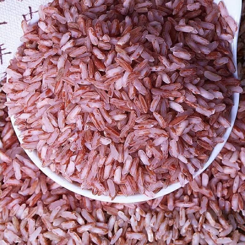 云南哈尼梯田红米红糯米软米哈尼胭脂米大米10斤农家新米杂粮粥米 - 图2